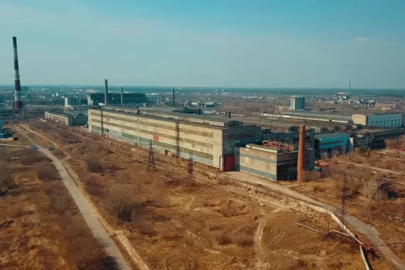 Blue Dogs Found Roaming Near Abandoned Chemical Plant