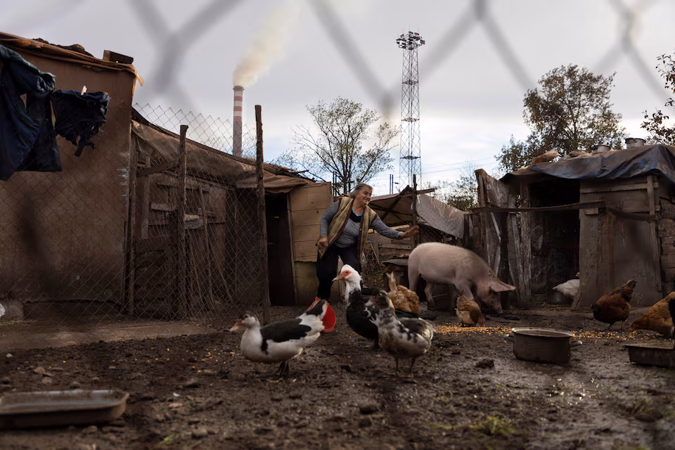 Ljilja Krstic stands in her yard with her animals next to the Chinese-owned HBIS Serbia steel mill,