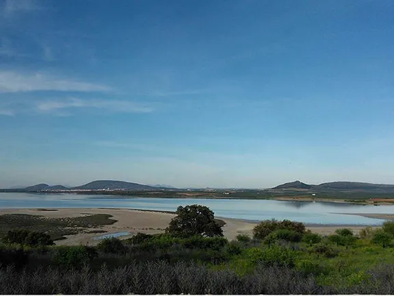 Fuente de Piedra is a Nature Reserve in Malaga