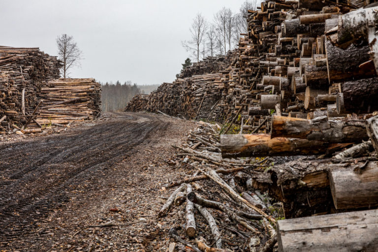 Logging operation in Sweden.
