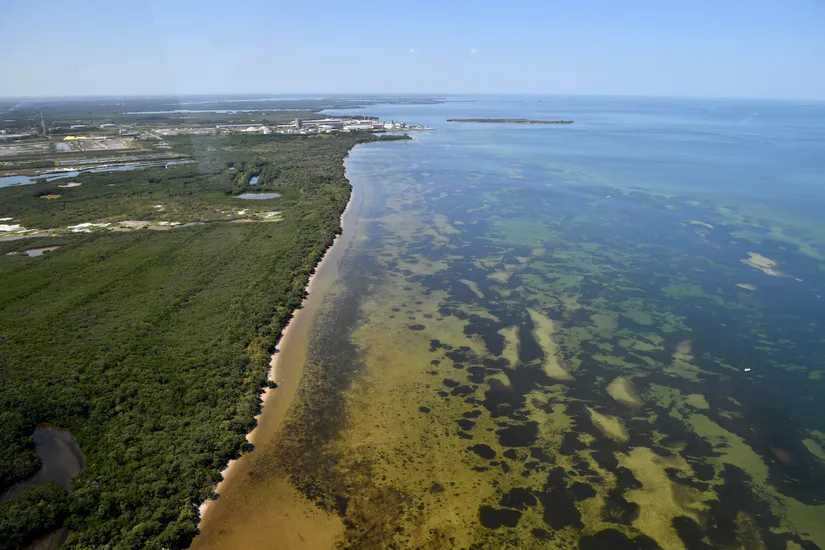 Contamination of Florida waters by the Piney Point plant
