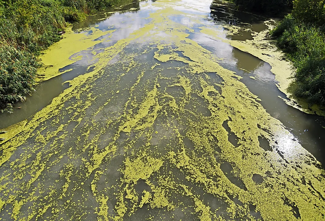 Water pollution Ohio River, USA