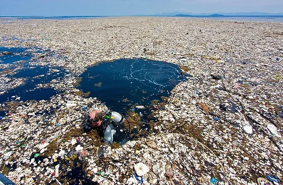 The Great Pacific Garbage Patch