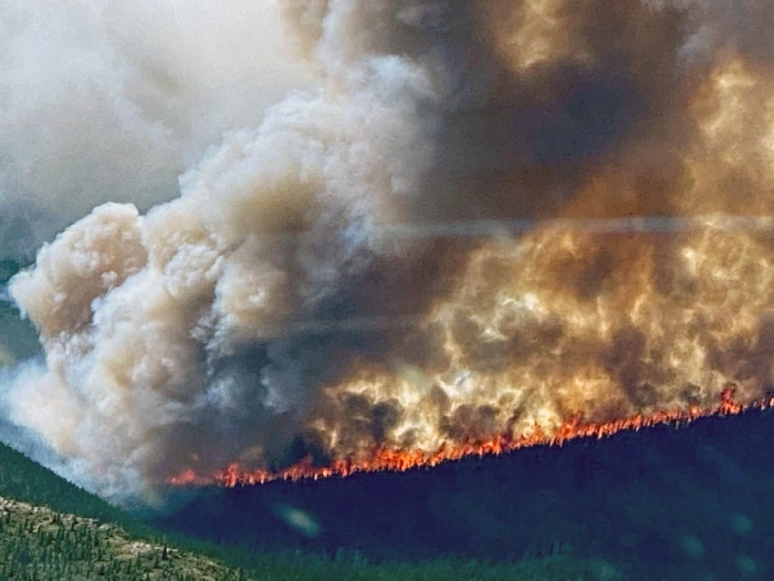 Forest fires in Alaska, USA