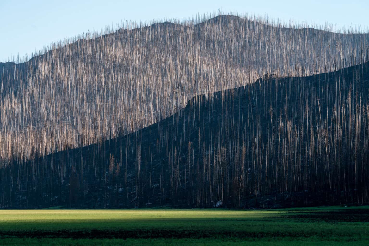 The East Troublesome fire burned some 300 square miles of land in Colorado in 2020.