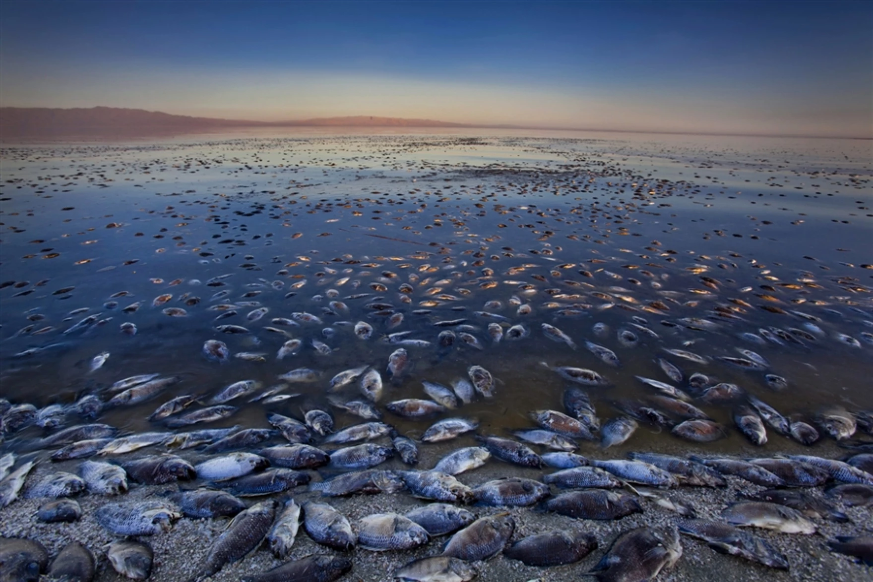 However, the lake is now in ecological crisis due to mandated water transfers, drought and pollution.