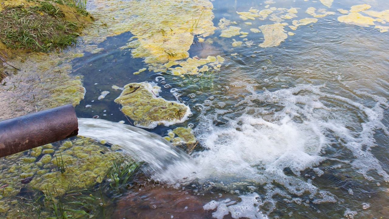 Polluted waterways in Oregon, USA