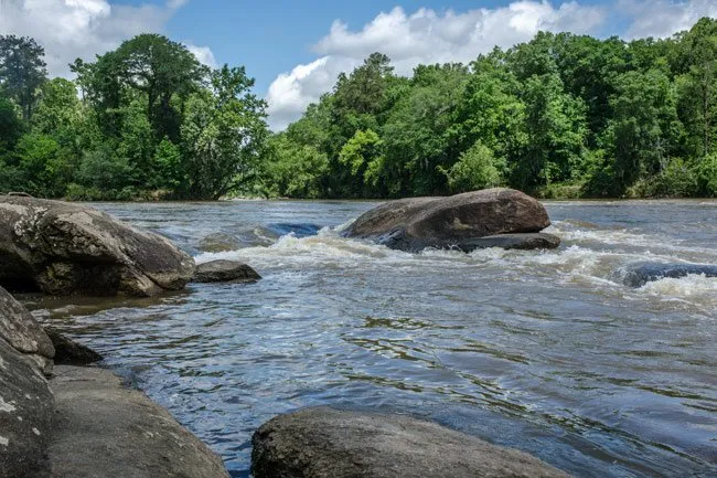 Toxic chemicals found in virtually every South Carolina river tested