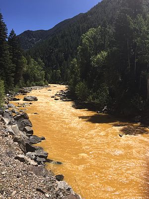 The Animas River within 24 hours of the spill