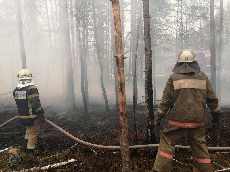 Fires near Chernobyl make Kiev air most polluted in world