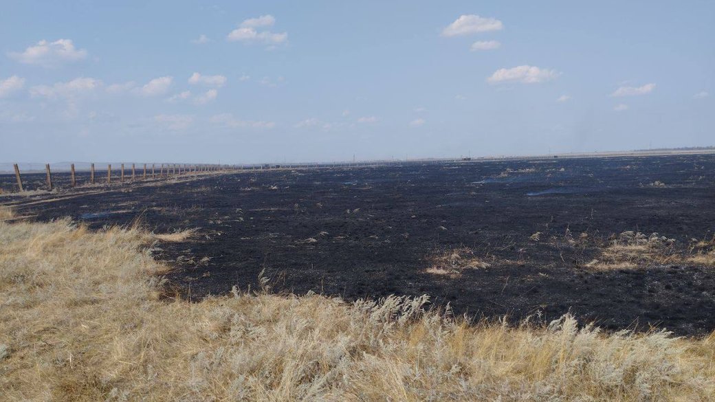Fires in "Askania-Nova". Consequences of the military occupation of the reserve