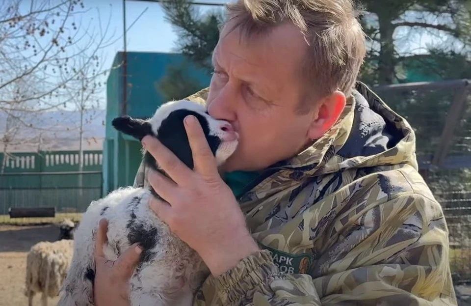 Over the course of two years, about 200 animals were removed from the new territories.