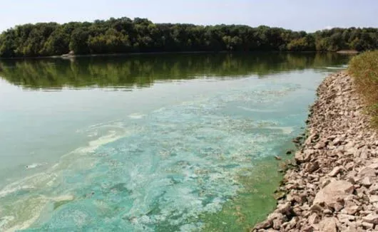 Chemical pollution of the Ros River, Ukraine