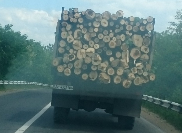 Massive deforestation on the Ukrainian territories occupied by Russia