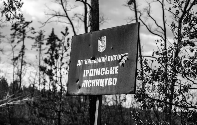 What happened to Ukrainian forests during the war?