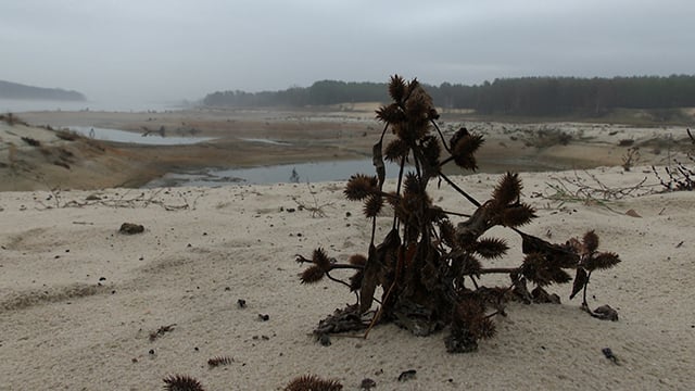 Oskol reservoir in the Kharkiv region turns into a desert.