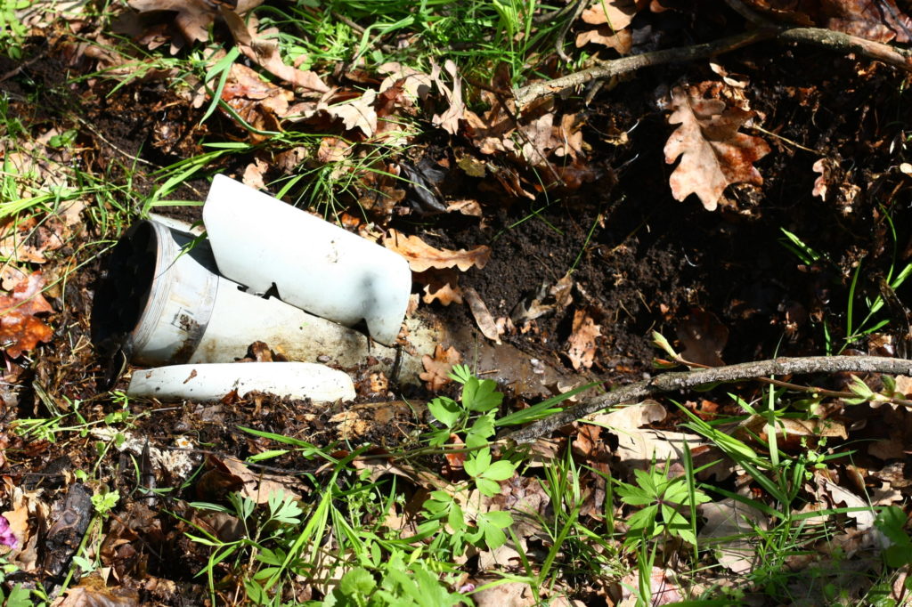 Burned forests and heavy metals in the soil