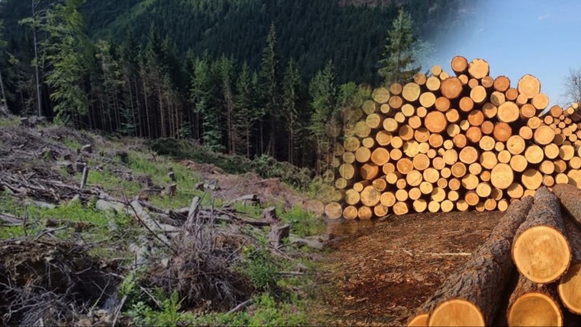Ukraine may be threatened with an eco-catastrophe due to environmental manipulation