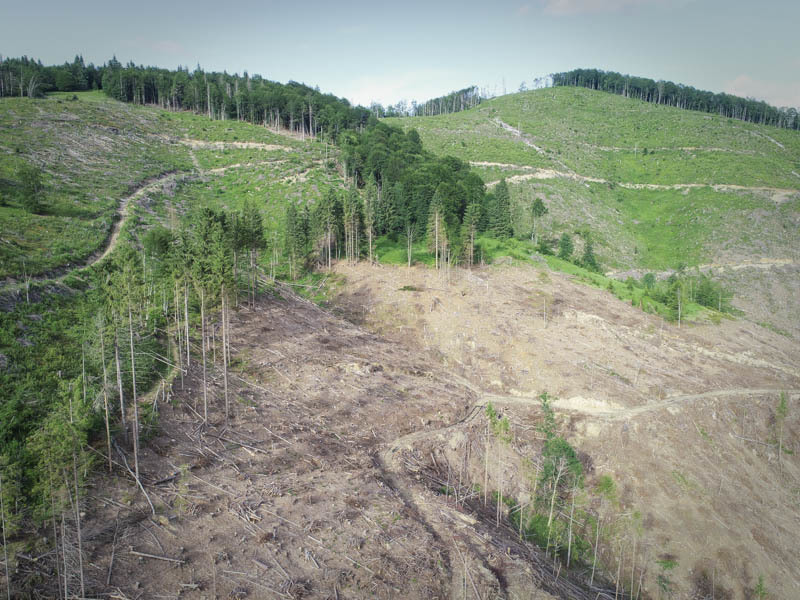 "Bare" Carpathians
