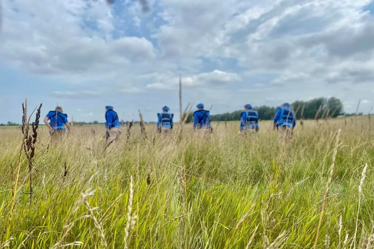 These sappers inspect a field in the Chernihiv region (Ukraine, 2022)