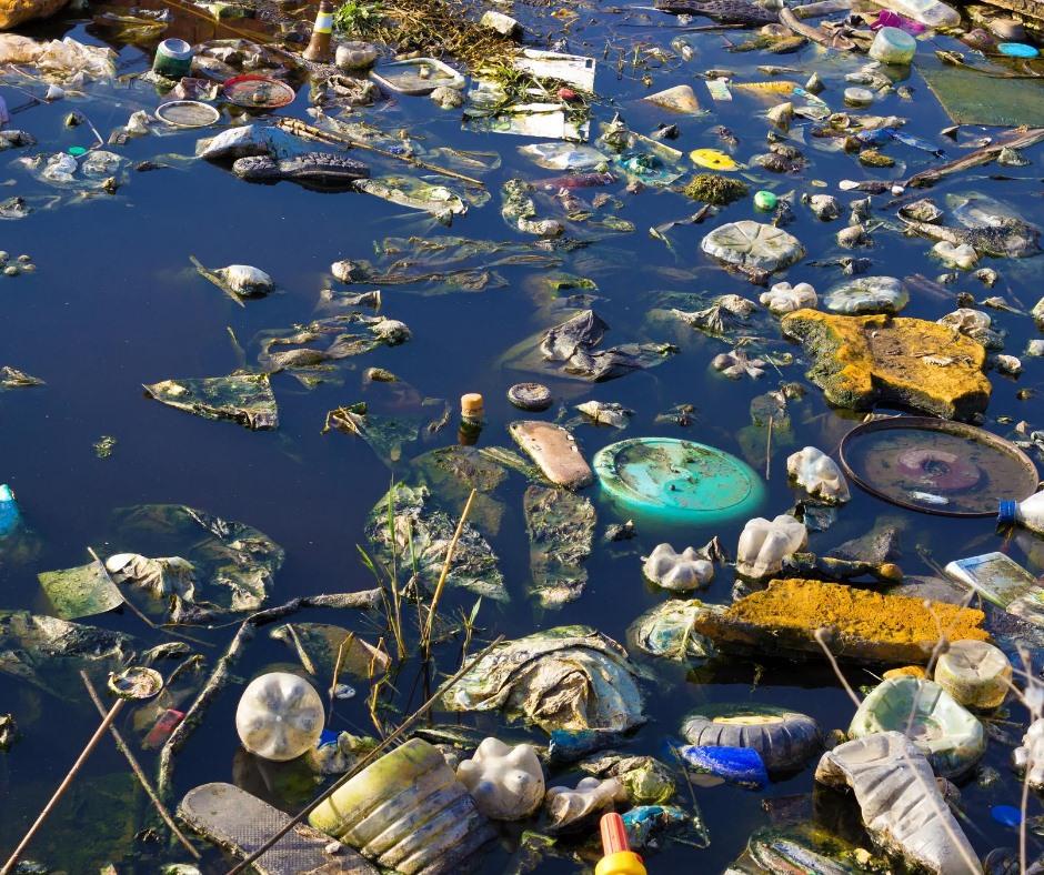Pollution of the Prut River in Ukraine