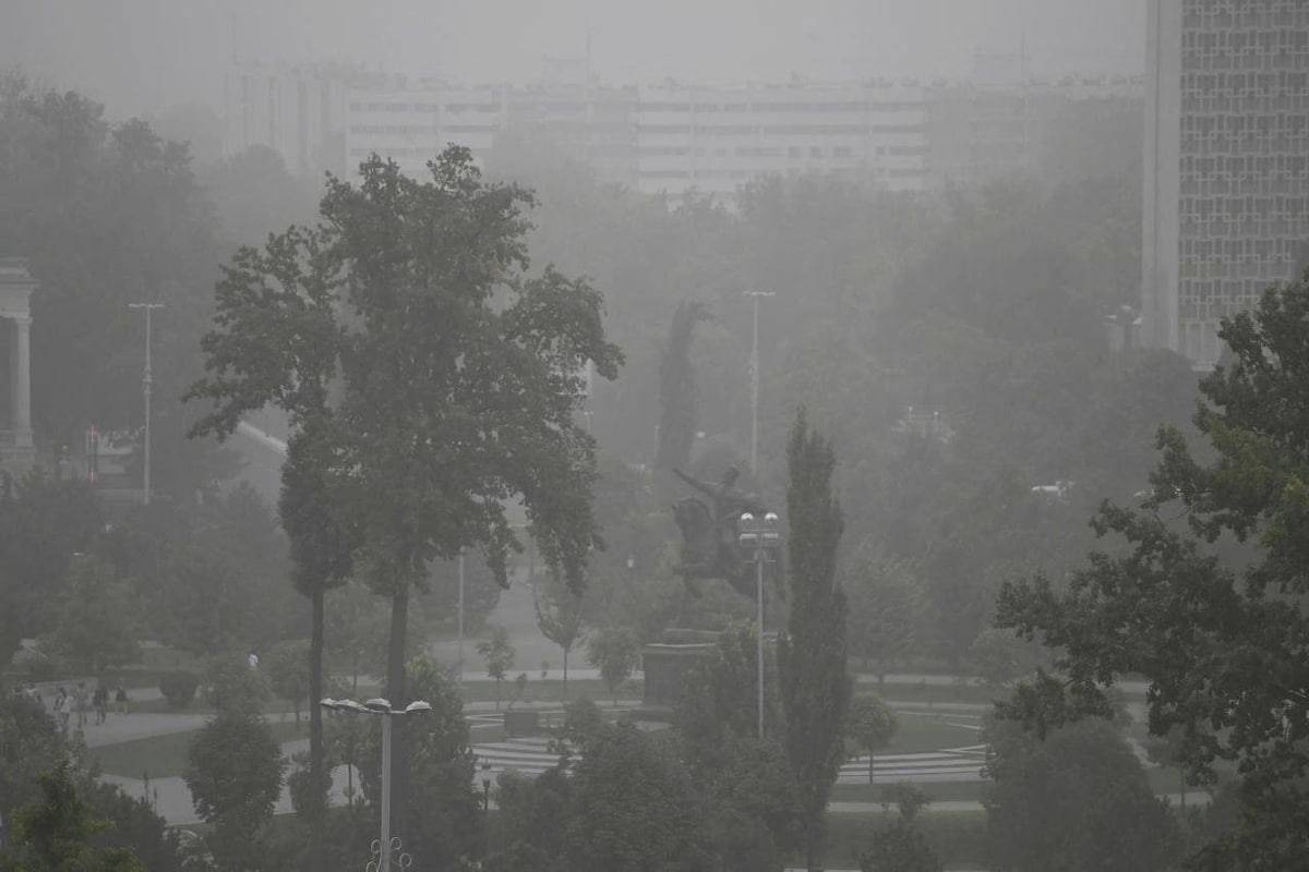 Air pollution in the city of Tashkent