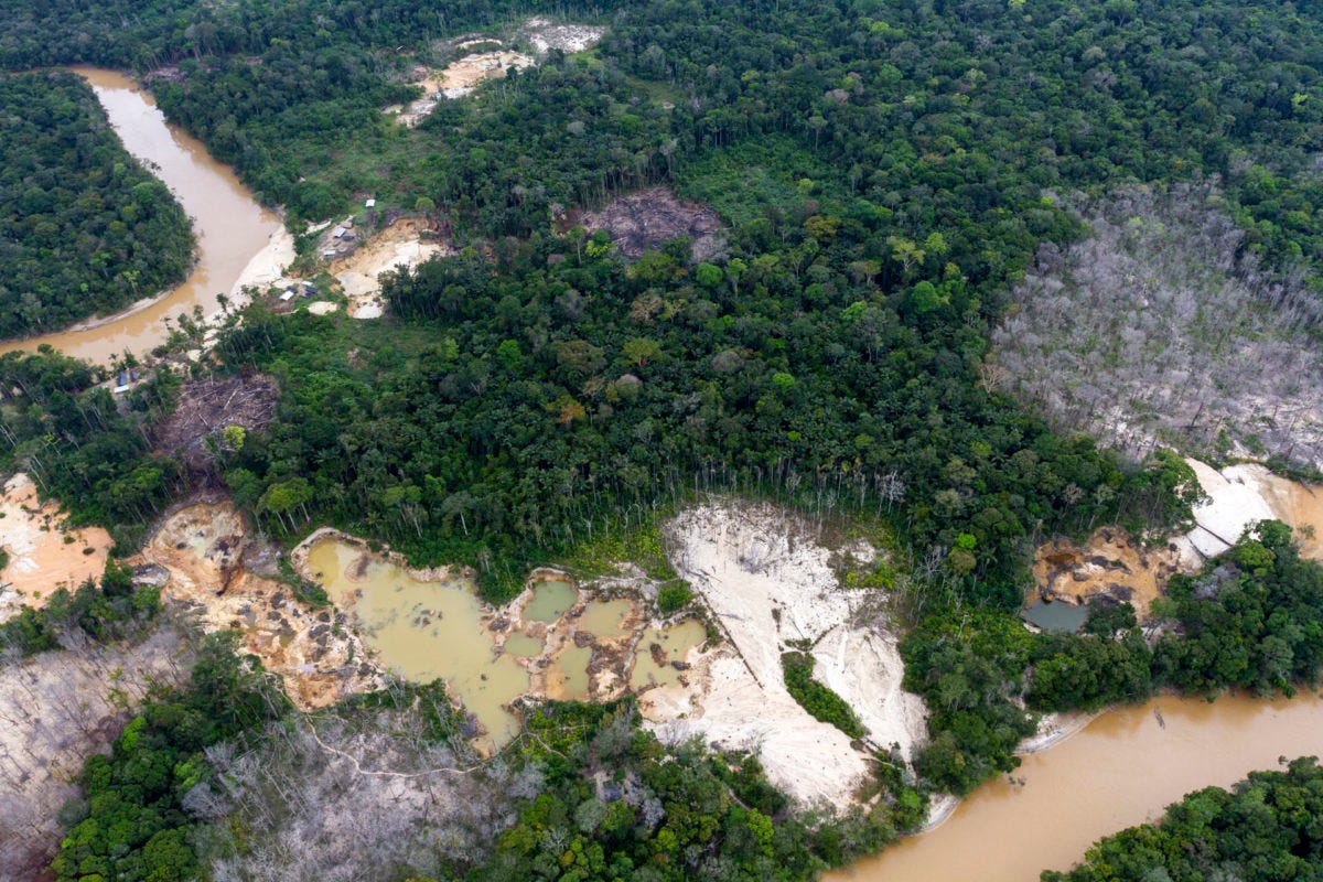 Deforestation in the Venezuelan Amazon