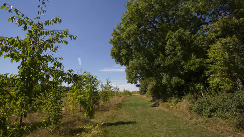 Amazon committes £2.8m for UK nature projects