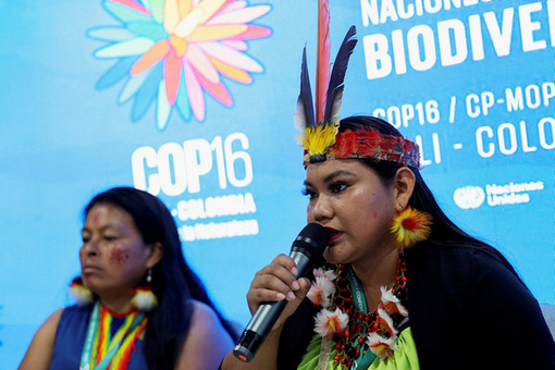 COP16 reaches deal on genetic data payments