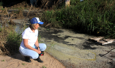 Adopt-a-River founder and pollution monitor Janet Simpkins surveys sewage pollution along the banks of the Umngeni River in August 2022.