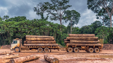 Timber on a truck, Brazil.