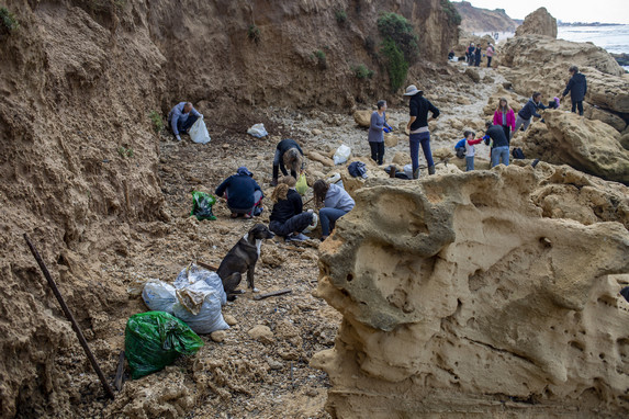 Volunteers gathered to remove clumps of sticky black