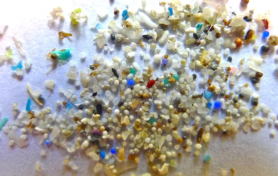 Microplastics in the ocean threaten marine life and food safety.