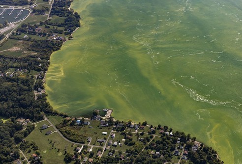 Water pollution, Lake Erie, USA