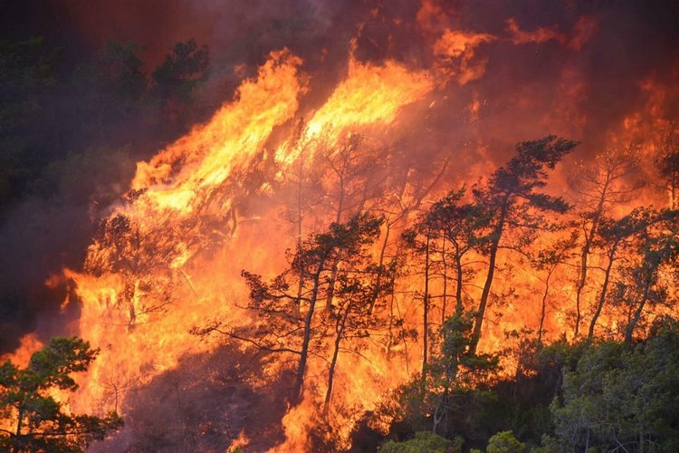 A view of the forest fire in Marmaris, Muğla, southwestern Turkey