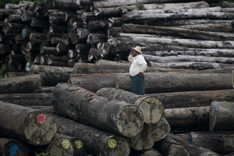 A worker looks on amid a pile of logs at a holding area along the Yangon River in Yangon, Myanmar, on July 23, 2015.