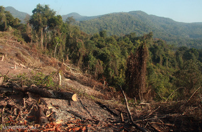 Deforestation near Nam Et-Phou Louey National Protected Area