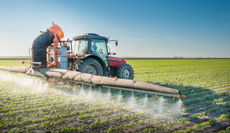Spraying of the plants
