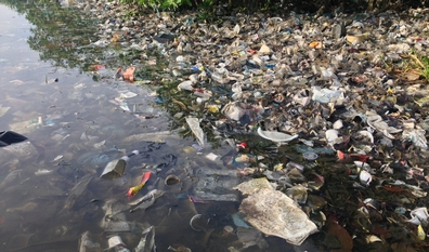 Not many fish are left to bite in Rio's trash-lined bay