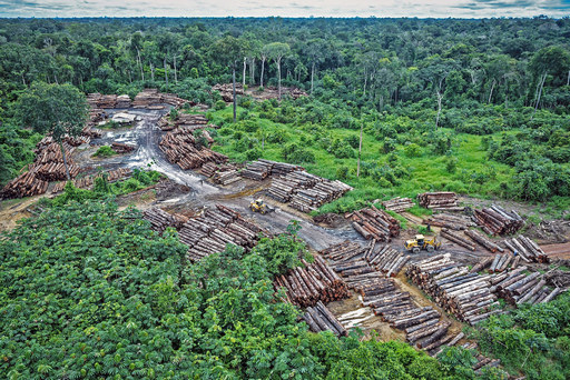Illegal deforestation in the Amazon, Brazil