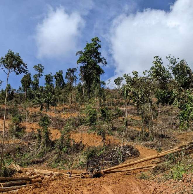 For Malaysia's Orang Asli villagers, forest-clearing for plantations is devastating their way of life