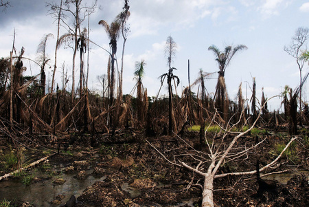 Oil spill damage in the Niger Delta region, April 6, 2010