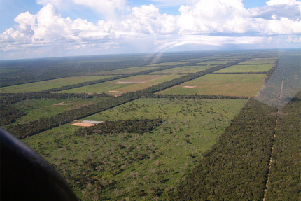 Deforestation in Paraguay