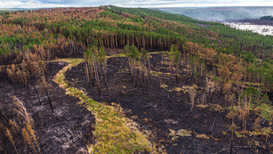 The aftermath of a fire in Krasnoyarsk, Siberia, in July 2020. Image by Greenpeace International.