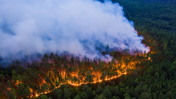 Siberian wildfires