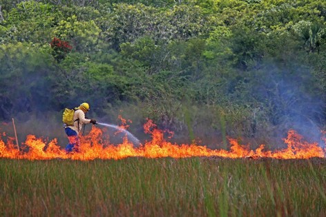 Pronatura has aided communities in coordinating their responses to wildfires, even across state lines.