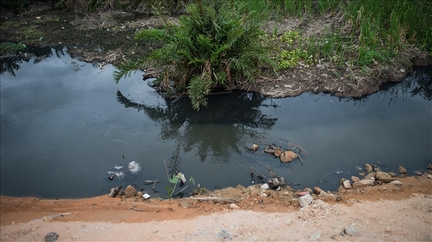 Pollution of the Rwizi River in Uganda