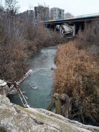 As a result of the destruction of the mini-dam, the flow of the river slowed down.