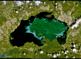 Massive algal bloom in Lake Valencia, in northern Venezuela.
