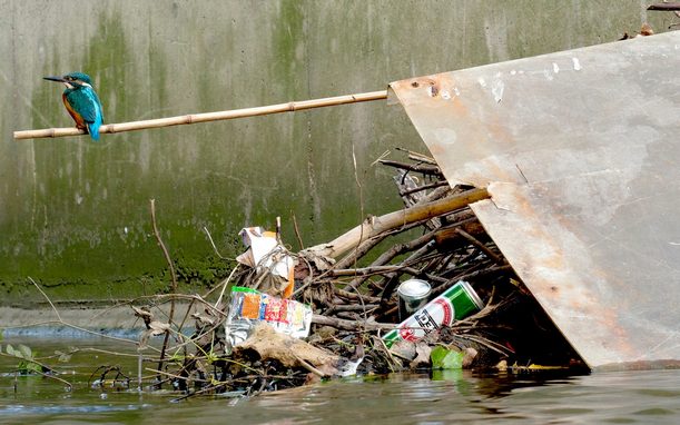 Pollution of the Wye River in the United Kingdom